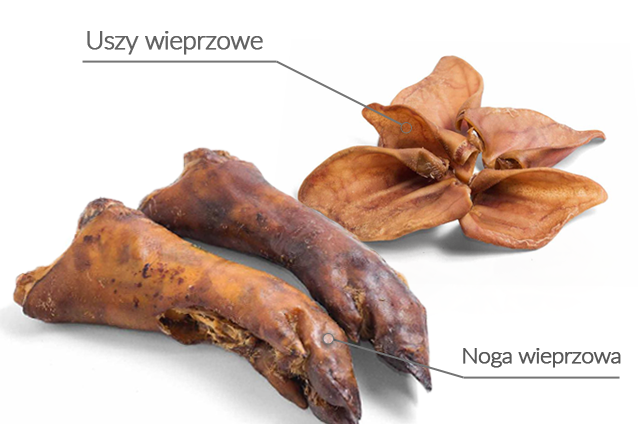 uszy wieprzowe
