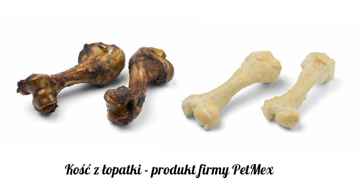 kość z łopatki